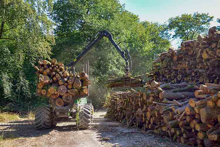 Vývoz a manipulace dřeva